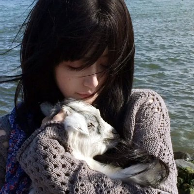 文豪野犬第三季